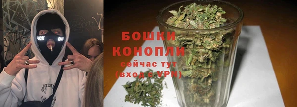 спайс Тавда