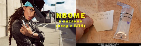дживик Тайга