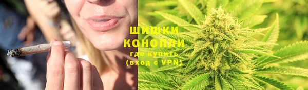 дживик Тайга