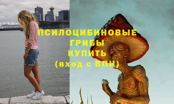 дживик Тайга