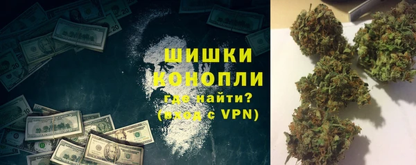 дживик Тайга