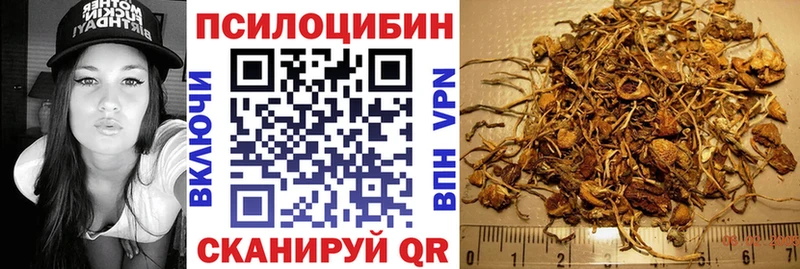 Псилоцибиновые грибы Cubensis Саки